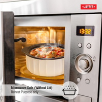 Jaypee Microsmart Insulated Casserole